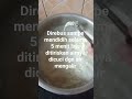 agar rebung tidak bau pesing