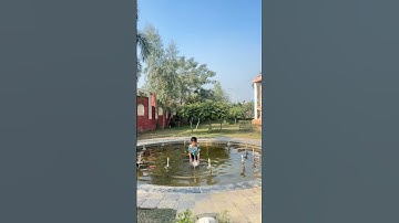 chunni mai chunni mai😭💔🙏 #trending #shorts