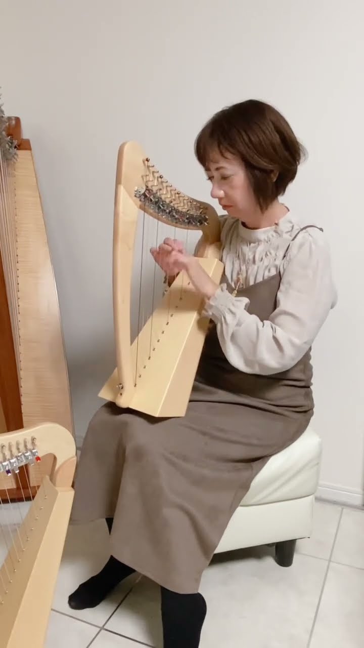 グレースハープ・インターナショナル / フレックスハープ15