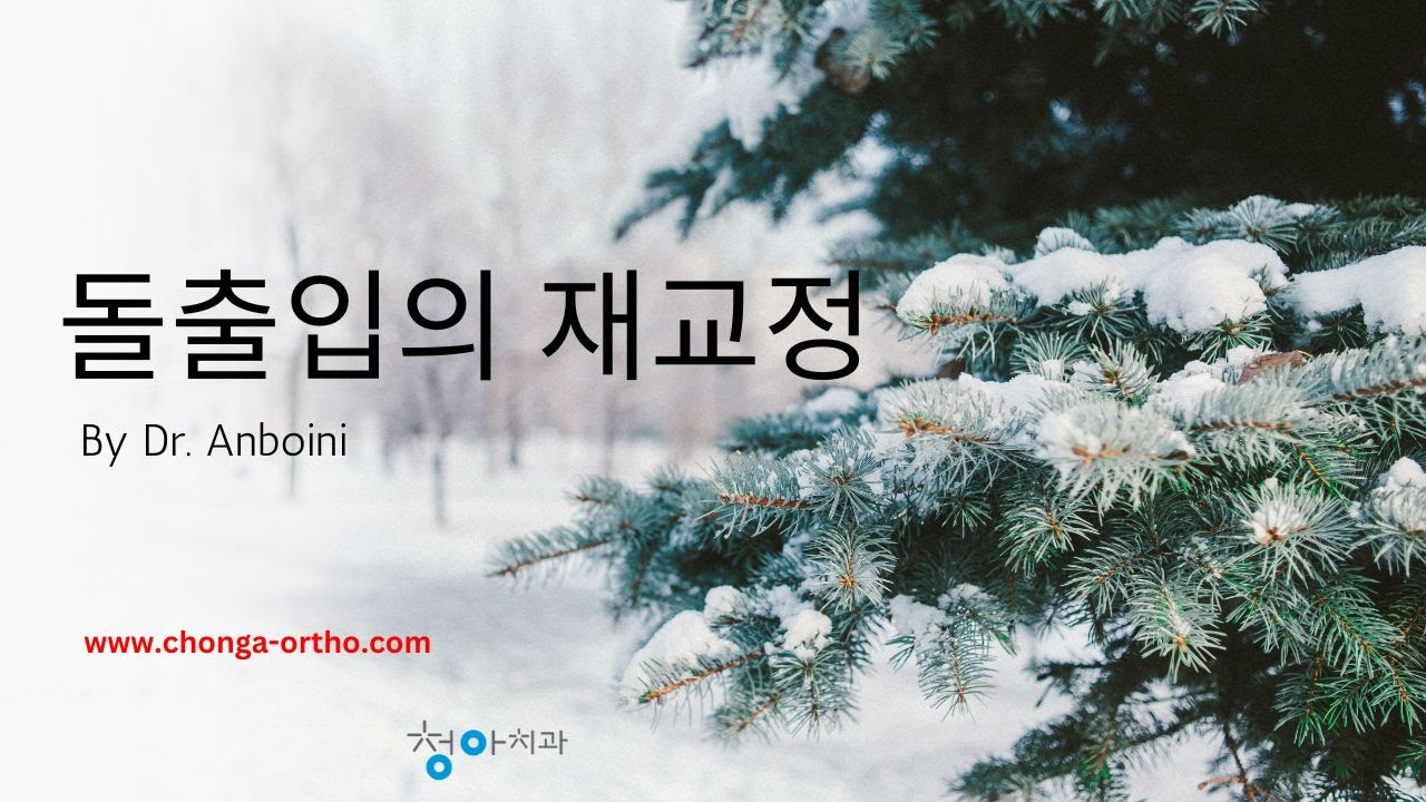 돌출입의 재교정 3 - 교정치료후 남아있는 입의 돌출감 -