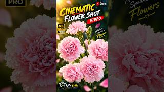 Pink Flower Cinematic Shot 🌸🔥 | Macro Flower Photography 4K #Shorts