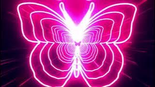 Beautiful Butterfly Neon Lights Tunnel Fast Particles 4K TikTok Trend Background