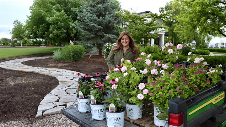 Planting Pink-Blooming, Full Sun Loving Plants! 🥰🌸💗 // Garden Answer - DayDayNews