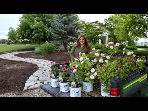 Video: Pink Garden Design - Tuinieren met roze planten