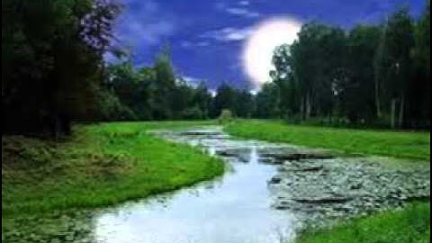 عبد الباسط عبد الصمد سورة غافر   سورة 40   عدد آياتها 85