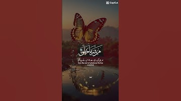 سورة الفلق.                                          #سورة_الفلق #قرآن #quran #تلاوات #تلاوه #لايك