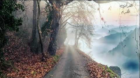 تلاوة مميزة #تريح النفس وتشرح الصدر #للقارئ عبدالرحمن مسعد قرآن كريم