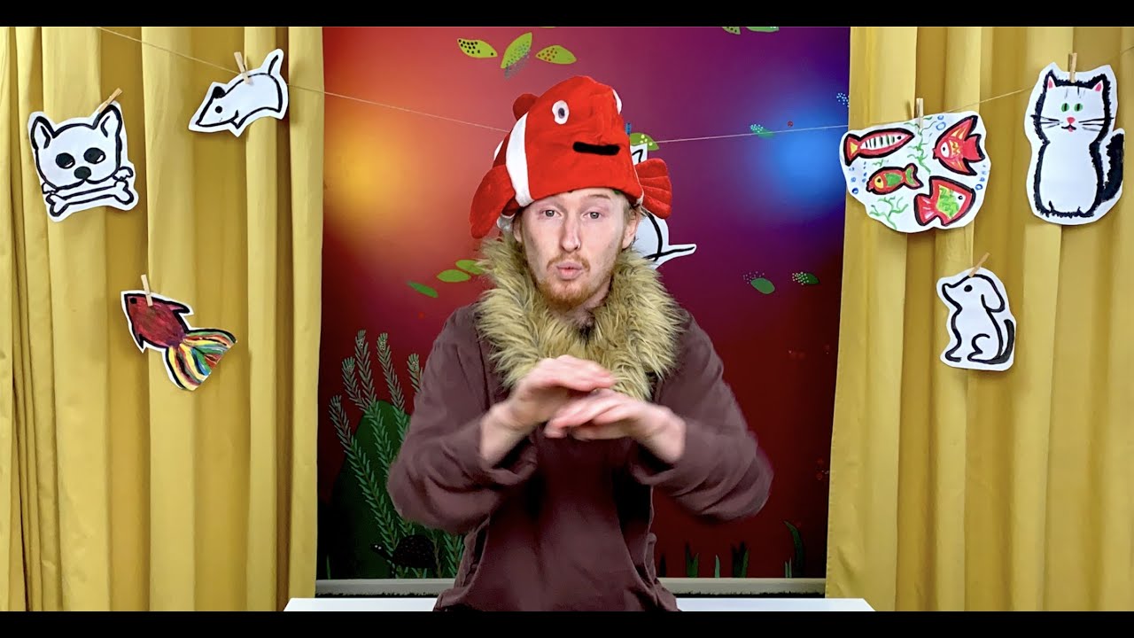 Naminiai gyvūnai su Jack | #BūkRamus​​​ tiesioginės transliacijos vaikams | Mažųjų valdos