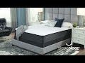Limited Edition Collection from Sierra Sleep by Ashley