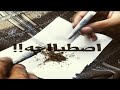 اغاني مغربيه صمخه2019 روح الله يهنيك اغاني مغربيه صمخه2019 روح الله يهنيك