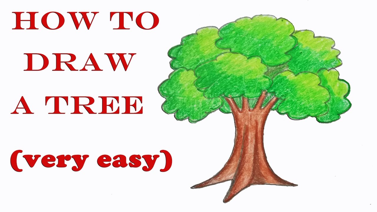 How To Draw A Tree Step By Step ( Very Easy) || Drawing || Art Video -  Youtube