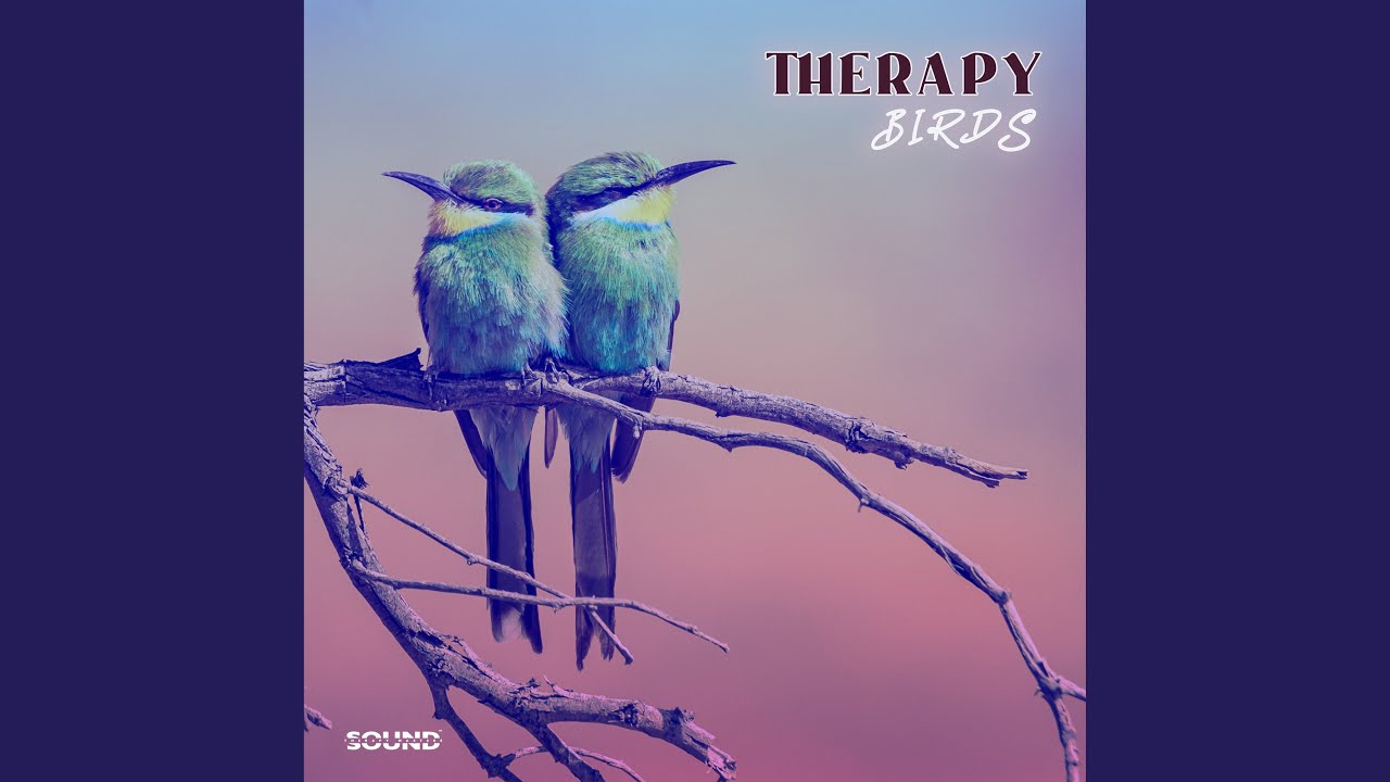 Assista a Scenery of Rest no YouTube