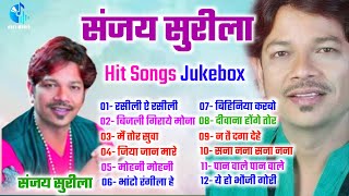 संजय सुरीला हिट्स - Sanjay Surila CG Song | Chhattisgarhi Song - सुपरहिट छत्तीसगढ़ी गीत ONLYMUSIC