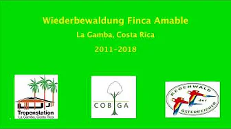 Wiederbewaldung in La Gamba: 7 Jahre in 2 1/2 Minuten
