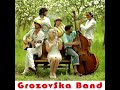 Гілочка яблуні GrozovSka Band 2012