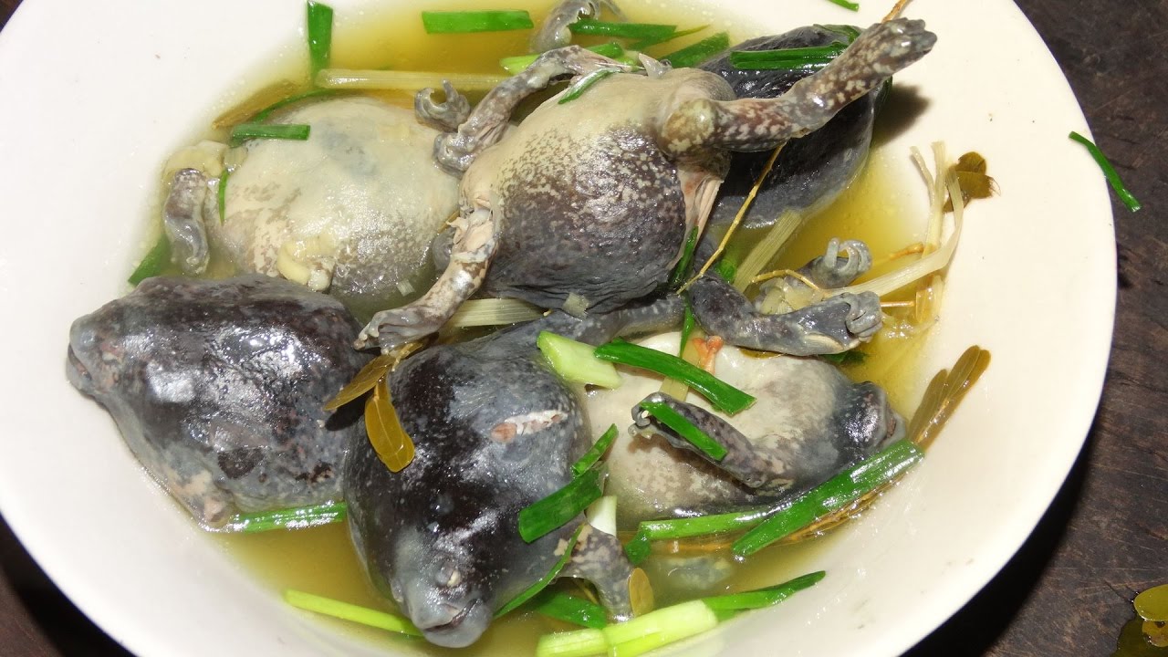 ต้มอึ่ง ตำแจ่วกินกับต้มอึ่ง - YouTube ต้มอึ่ง ตำแจ่วกินกับต้มอึ่ง - Youtube