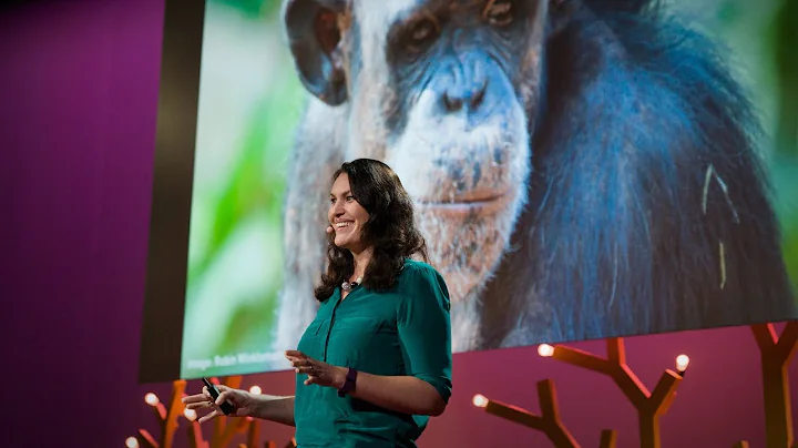 Why animals in zoos need choice | Stephanie Braccini Slade | TED Institute