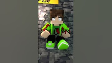 SALVEI A VIDA DO MEU AMIGO