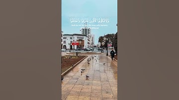 ياسر الدوسري - سورة آل عمران ١٠٤ - ١٠٥ #قران_كريم_ارح_سمعك_وقلبك #ايات