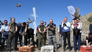 Nevşehir’de Kene ile Doğal Mücadele