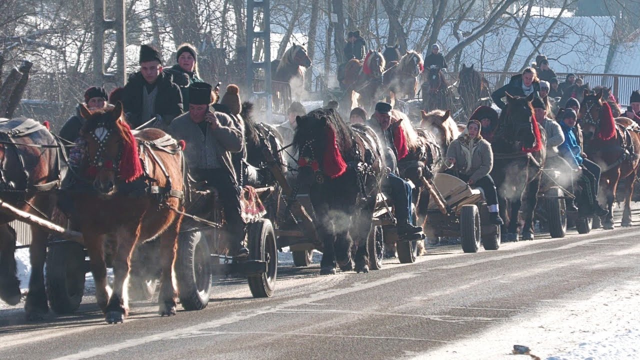 Parada cailor de la Breaza - Bucovina 11 Ianuarie 2026