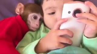 monkey using iphone X