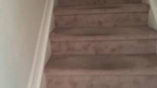 839 NW 170th Terrace Pembroke Pines FL