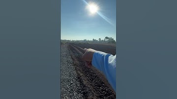 Đường xe hơi đất lúa 1300m2 xã tân ân cần đước long an giá 1ty250tr hết đất