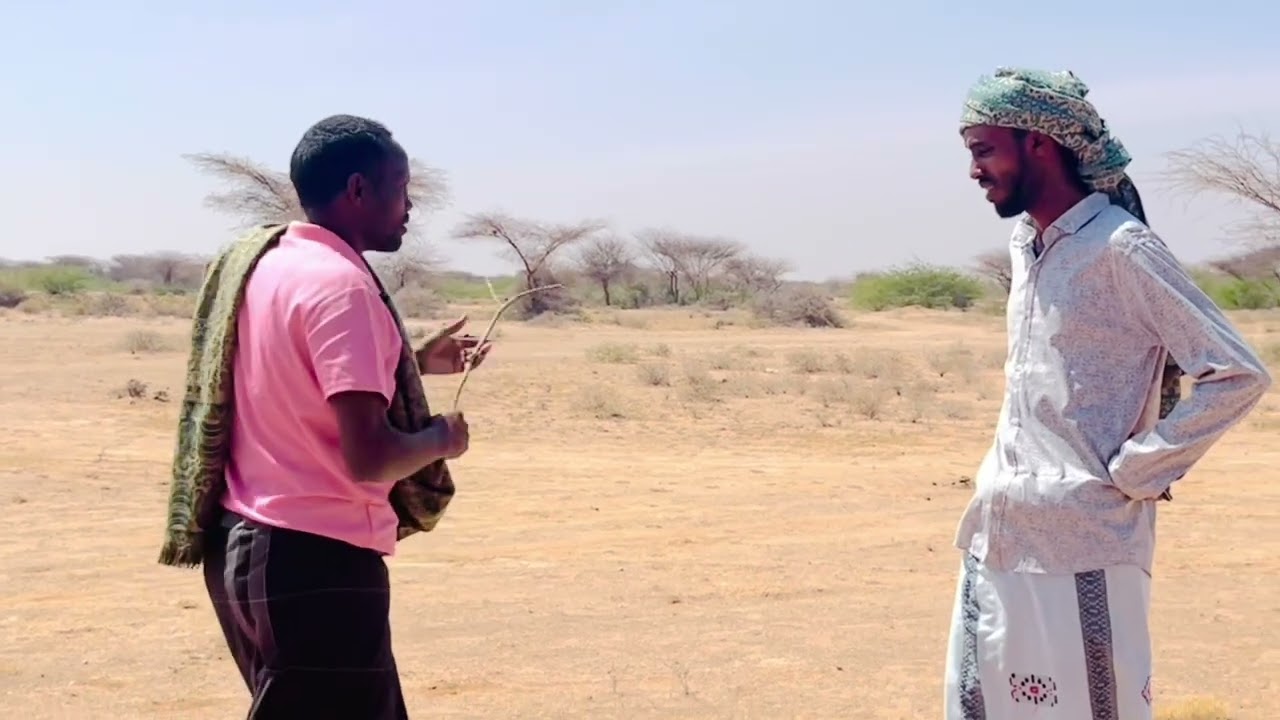 Riwaayad Cusub (Bakhayr Barako Male).