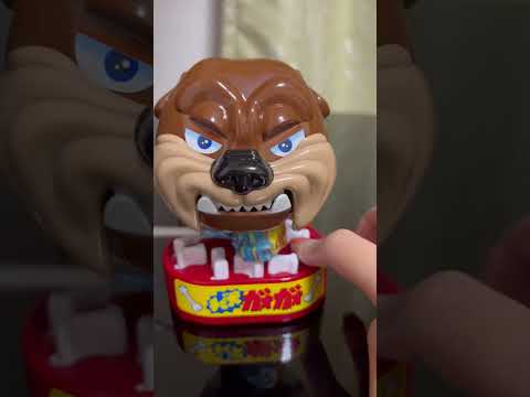 Hey! Mad dog"time for lollipop"#shorts #trending #asmr