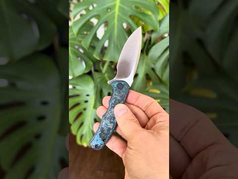 CIVIVI Mini Praxis Arctic Storm Fat Carbon S35VN WE Knife Co Limited Anniversary Modified 