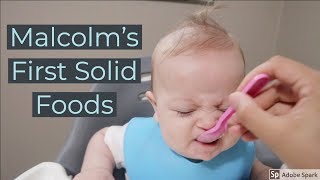 Baby's First Solid Foods