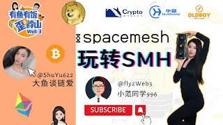 [第2集] Spacemesh 如何玩转SMH #spacemesh #SMH #web3 #大鱼谈链爱 #小范同学996 #POW #显卡 #挖矿