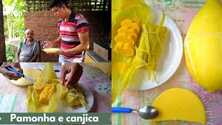 Trying Pamonha And Canjica With My Parents It Was Very Tasty