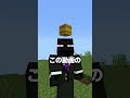 言った色が消える世界【まいくら・マインクラフト】#shorts