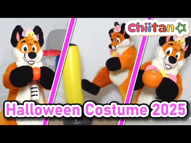 I'm Chiitan☆! (Halloween Costume) - YouTube