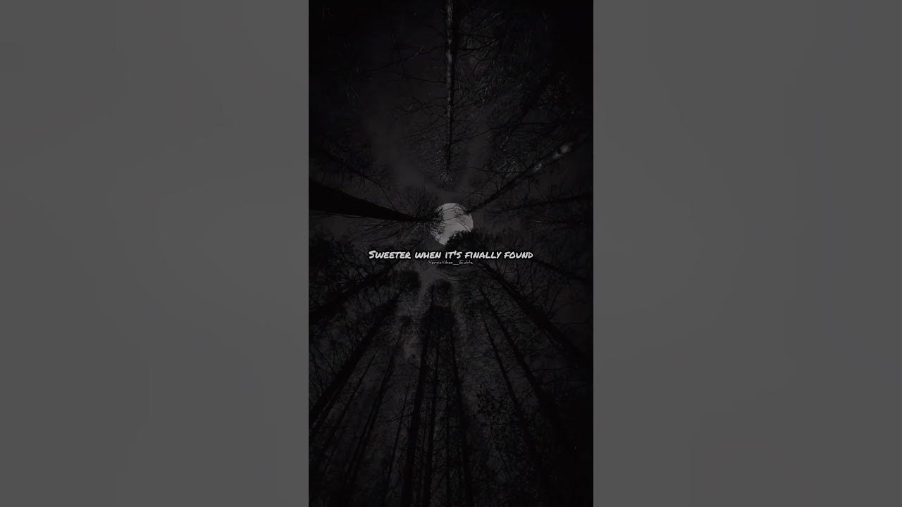 Sapientdream - Past lives (lyrics) 💔😞 || "Don't awake me I'm not dreaming" || #editaudios #pastlives