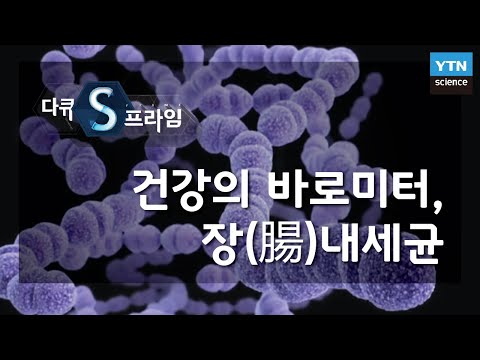 건강의 바로미터, 장(腸)내세균 [다큐S프라임] / YTN 사이언스