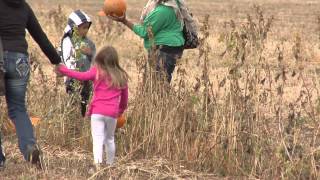 Public opening for community pumpkin patch