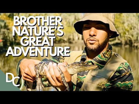 BROTHER NATURE TAKES AMERICA