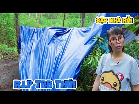 Nhà Anh TBB Thúi Bị Sập, Em Rùa Bỏ Đi Mất