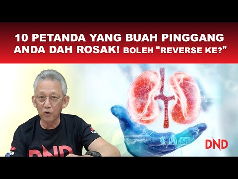 Video: 10 Buah-buahan & Veggie Jatuh yang Boleh Meningkatkan Kesihatan Anjing Anda