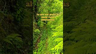 #ruta #asturias #asturiasparaisonatural #paisaje #verde #montaña #nature