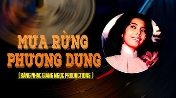 Mưa Rừng - Phương Dung | Tác Giả: Huỳnh Anh