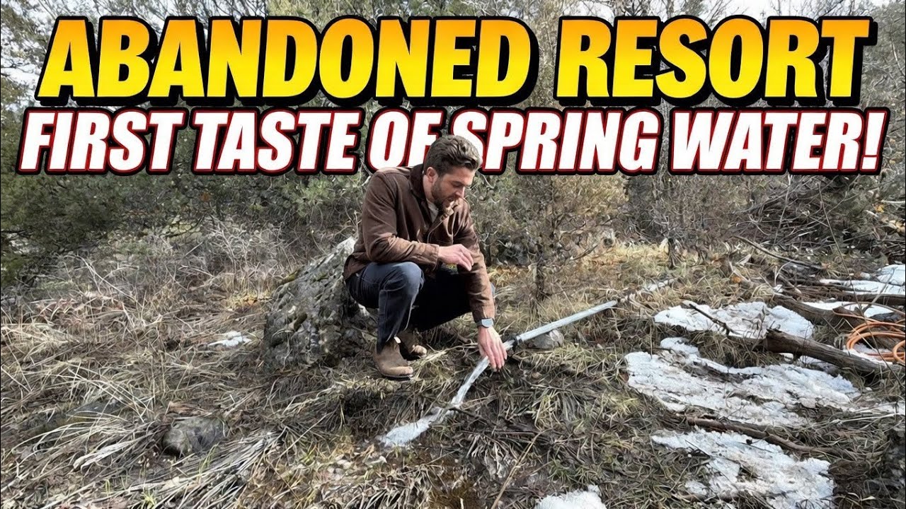 Заброшенный курорт - дегустация