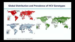 Day2Room11 HCV 1 DAA Treatment for CHC in Asia Pacific Region screenshot 1