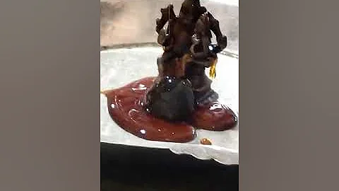 Madhu (Honey) Abhisheka along with Sri Manyu Sukta