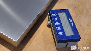 InAction | Installation and commissioning of an electronic platform scale DFWL