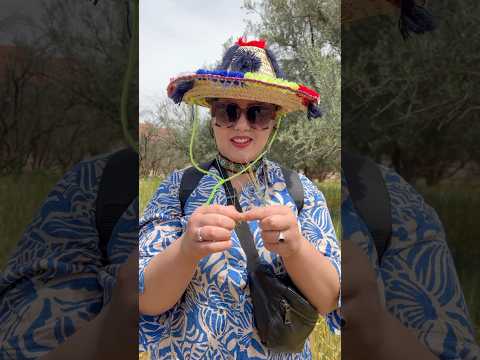 أتبحث عن السعادة وهي تناديك كل يوم