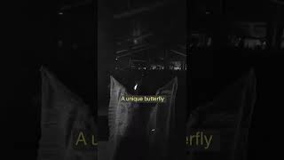 TALES FROM TRANSIT VOL. 1 (OF 4)